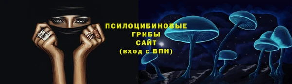 гашик Абаза
