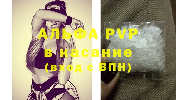 гашик Абаза