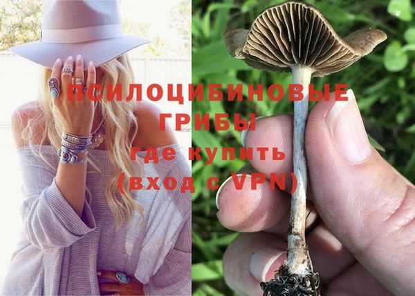 PSILOCYBIN Алексеевка