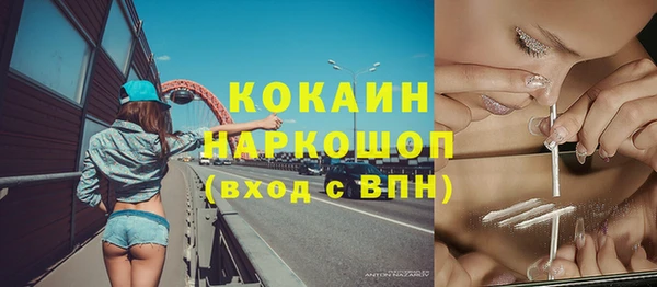 винт Алексин